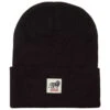 Primitive X Bob Marley Stand Up Beanie - Black
